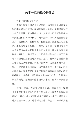 关于一反两检心得体会