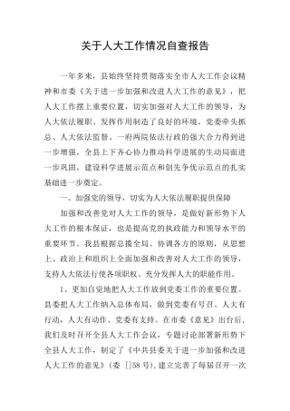 关于人大工作情况自查报告