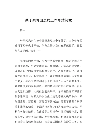 关于共青团员的工作总结例文