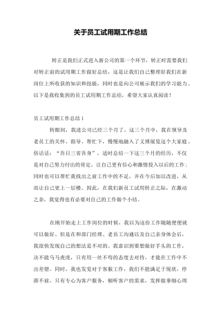 关于员工试用期工作总结