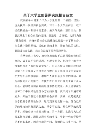 关于大学生的暑期实践报告范文