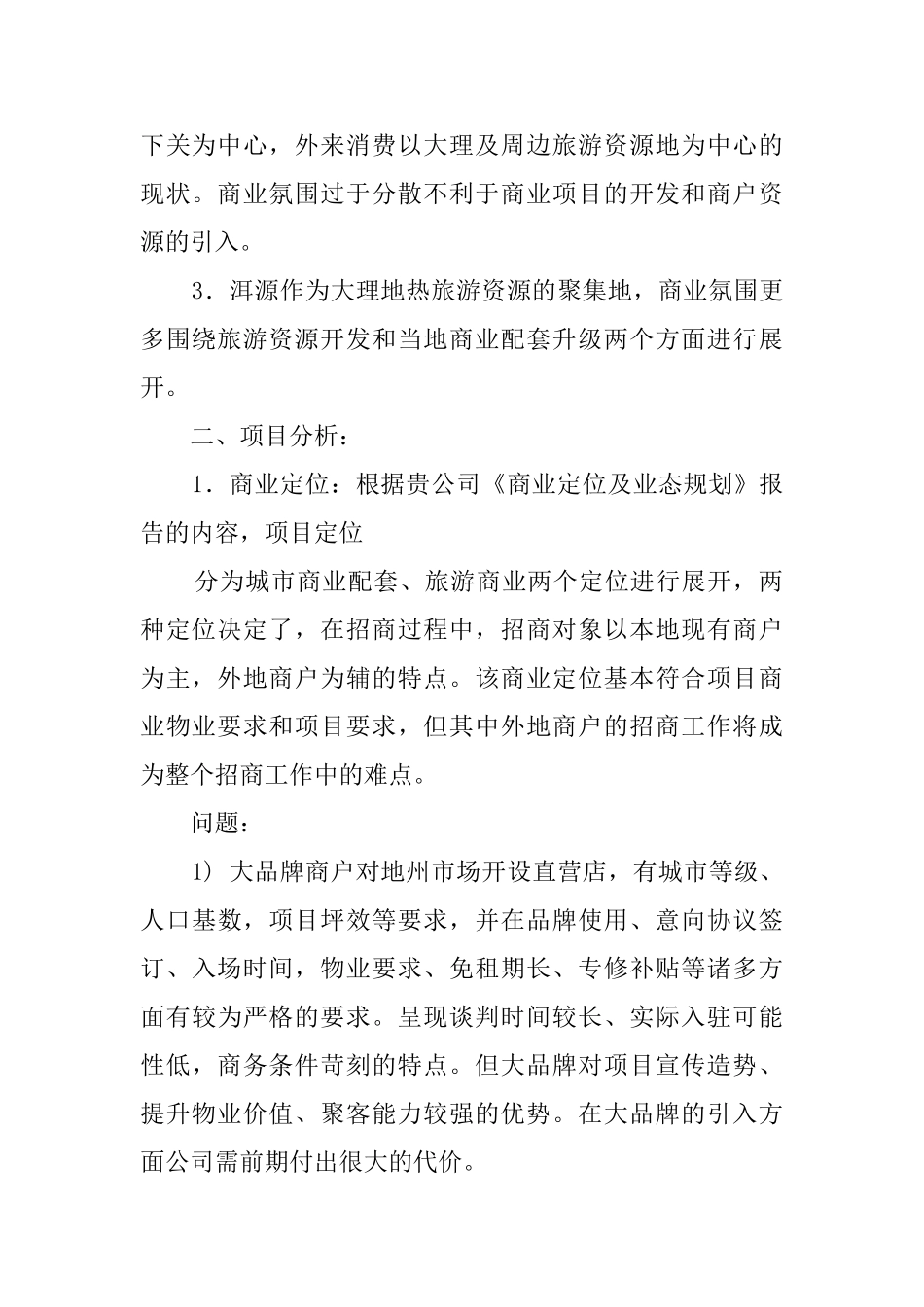 关于大理项目的调查报告模板_第2页