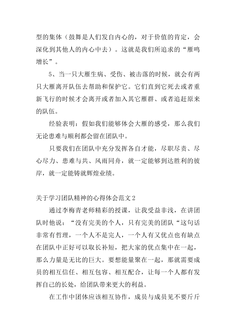 关于学习团队精神的心得体会范文_第3页
