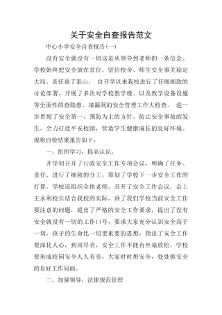 关于安全自查报告范文