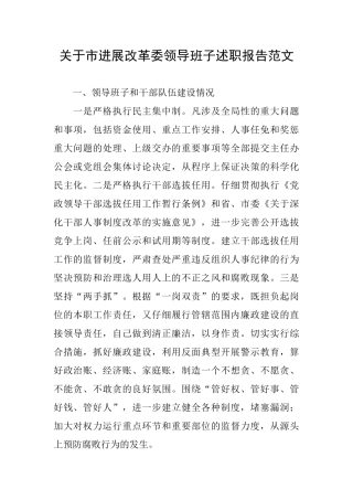 关于市发展改革委领导班子述职报告范文