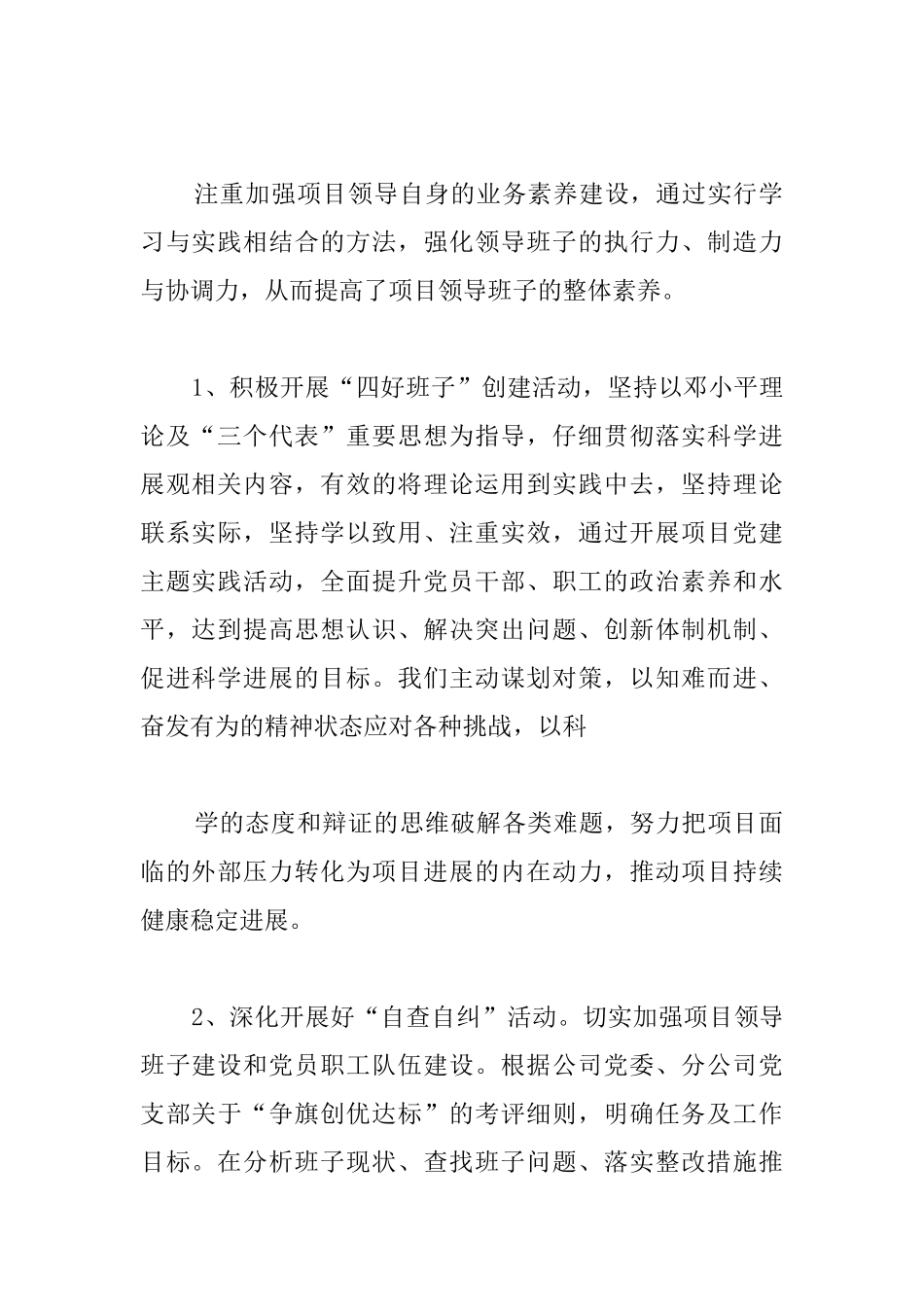 关于项目党建的工作总结汇报_第2页