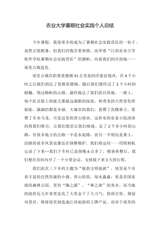 农业大学暑期社会实践个人总结