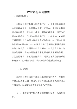 农业银行实习报告