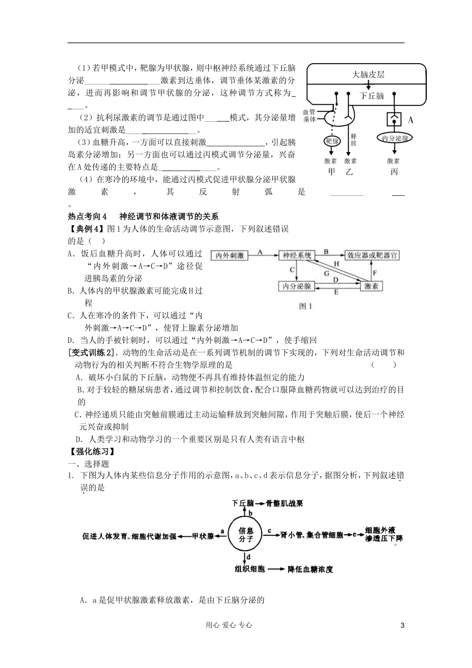 山东省崂山二中2012高三生物二轮复习 人和动物生命活动的调节学案_第3页
