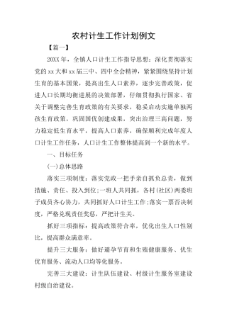 农村计生工作计划例文