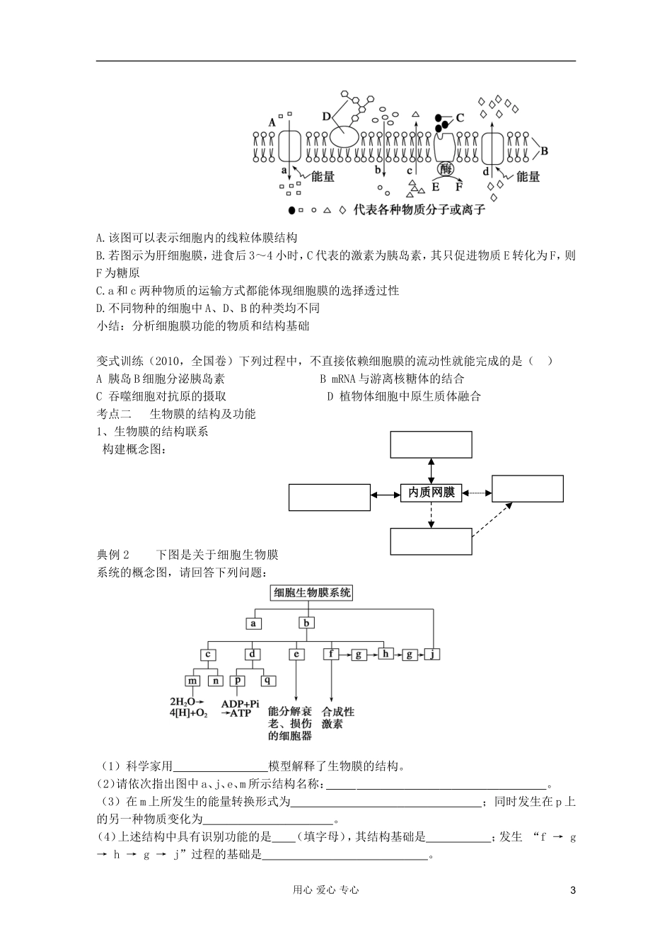 山东省崂山二中2012高三生物二轮复习 细胞的分子组成和结构学案_第3页