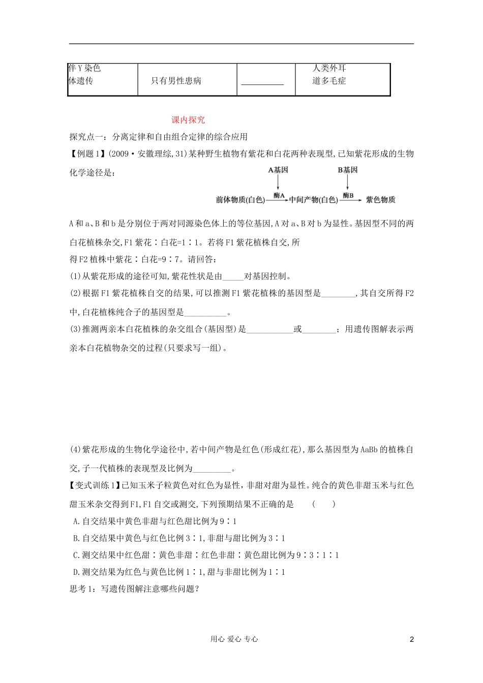 山东省崂山二中2012高三生物二轮复习 遗传的基本规律学案_第2页