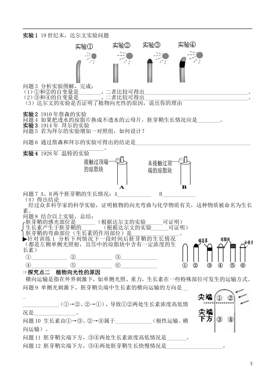 山东省德州市乐陵一中2014年高中生物 3.1 生长素的发现（1）学案 新人教版必修3_第3页