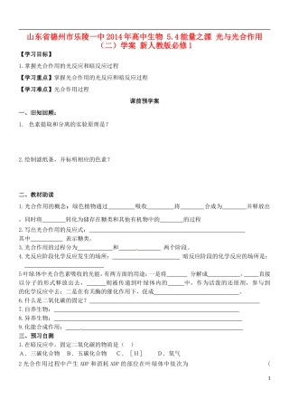 山东省德州市乐陵一中2014年高中生物 5.4能量之源 光与光合作用（二）学案 新人教版必修1