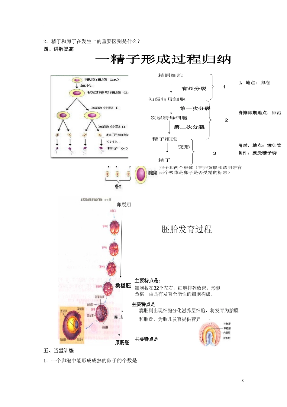 山东省文登市教育教学研究培训中心2015高考生物 专题3 胚胎工程（第一课时）学案 新人教版选修3_第3页
