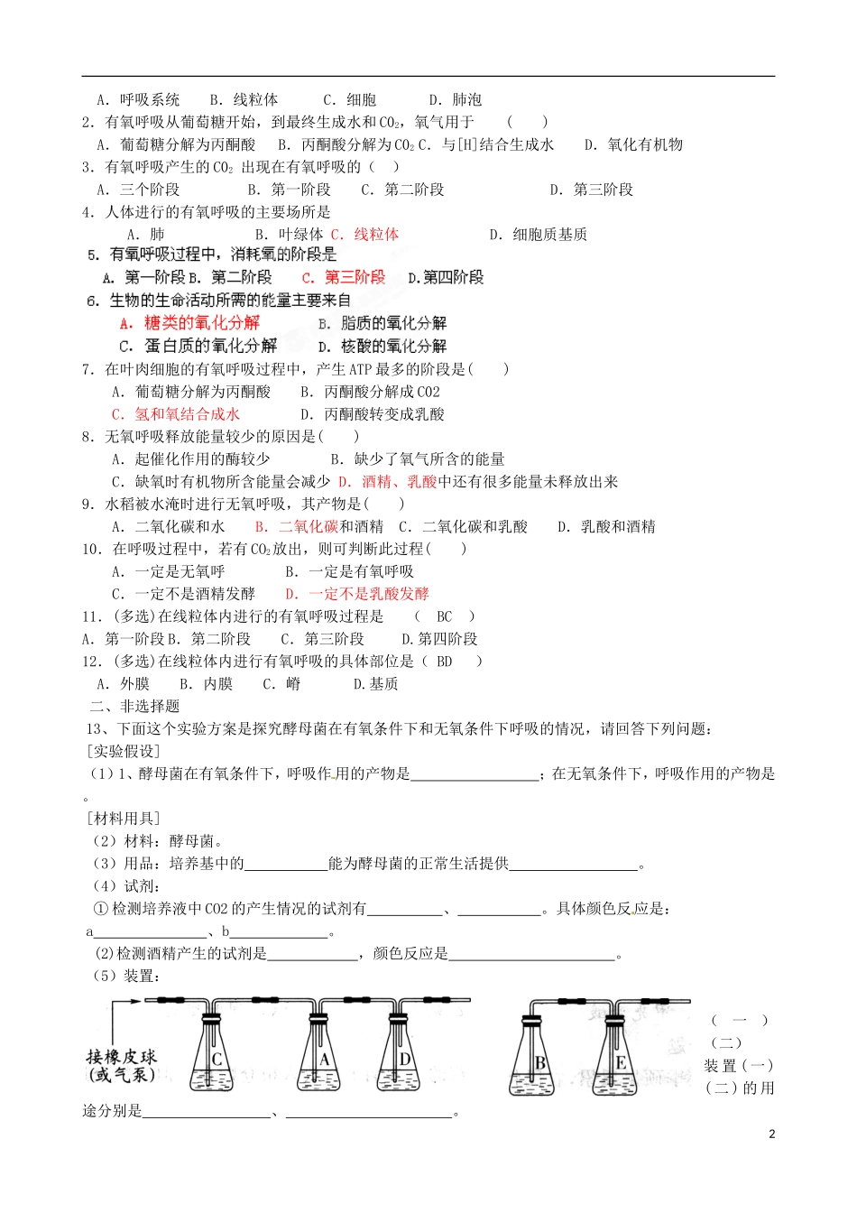 山东省泰安市肥城市第三中学2014年高中生物 5.3 ATP的主要来源 细胞呼吸（1）学案 新人教版必修1_第2页
