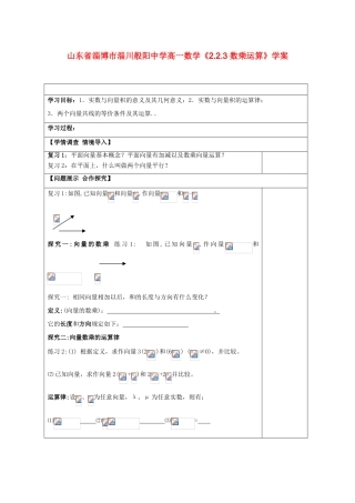 山东省淄博市淄川般阳中学高一数学《2.2.3 数乘运算》学案