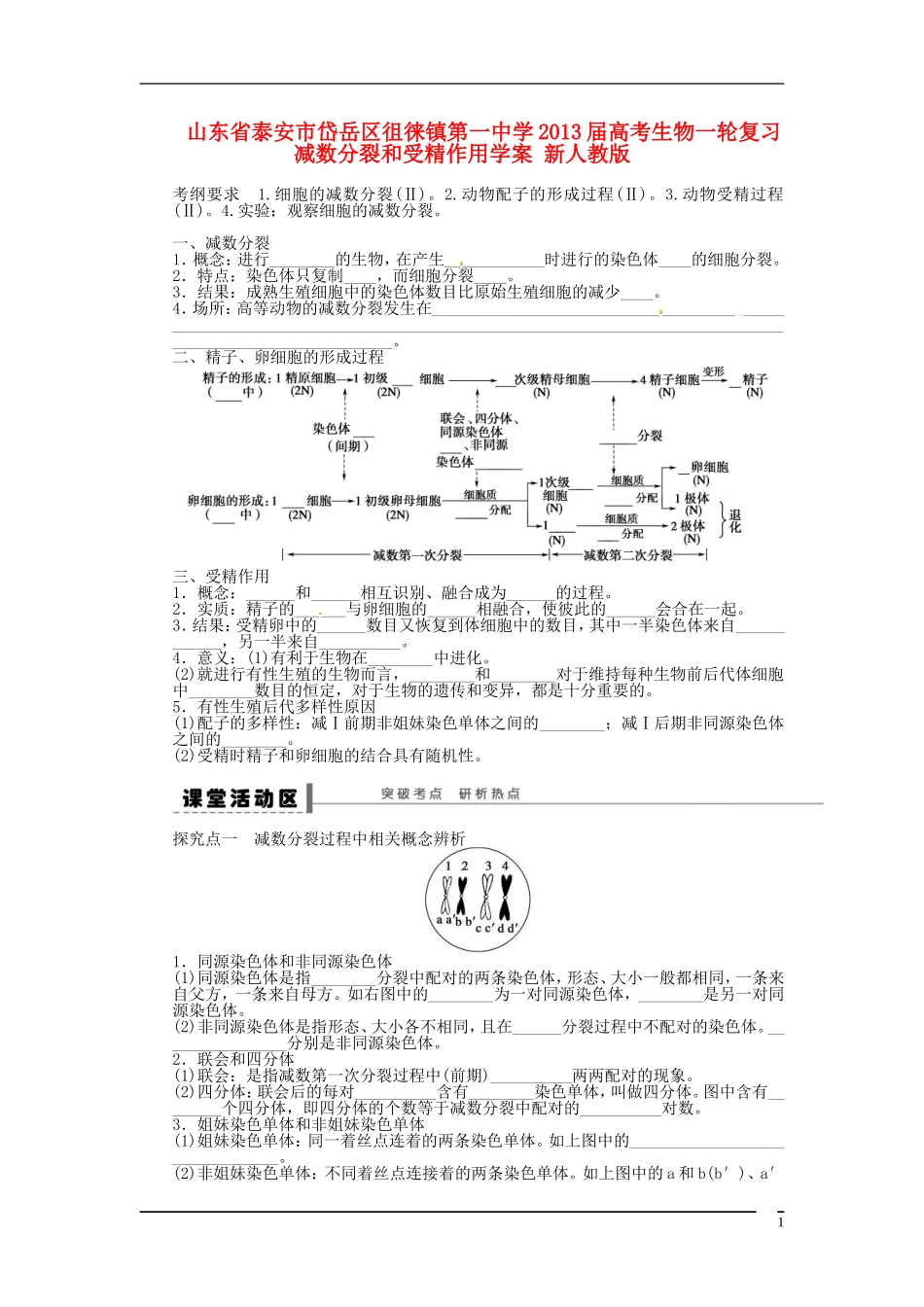 山东省泰安市岱岳区徂徕镇第一中学2013届高考生物一轮复习 减数分裂和受精作用学案 新人教版_第1页
