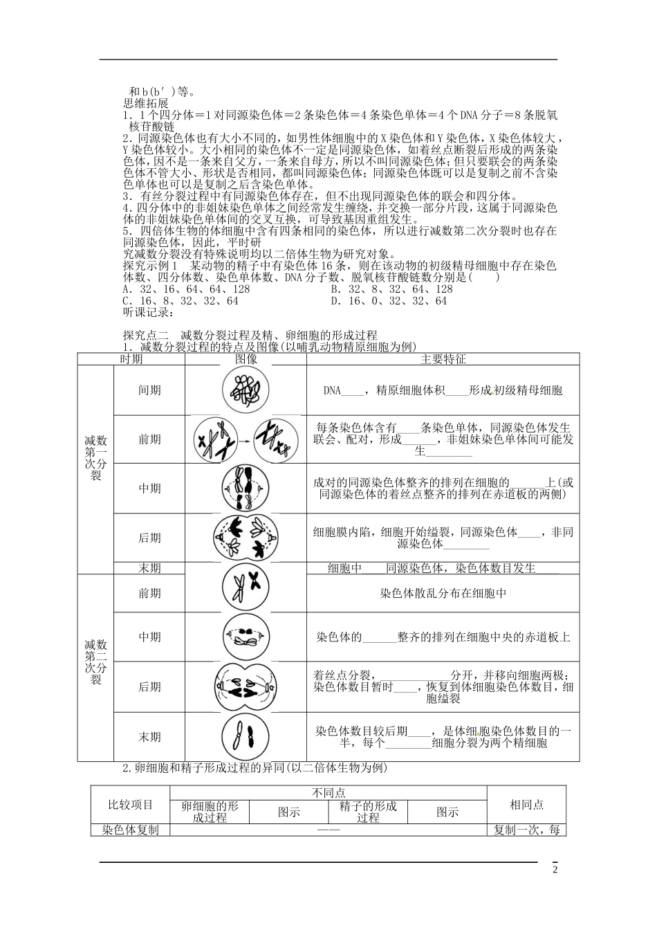 山东省泰安市岱岳区徂徕镇第一中学2013届高考生物一轮复习 减数分裂和受精作用学案 新人教版_第2页