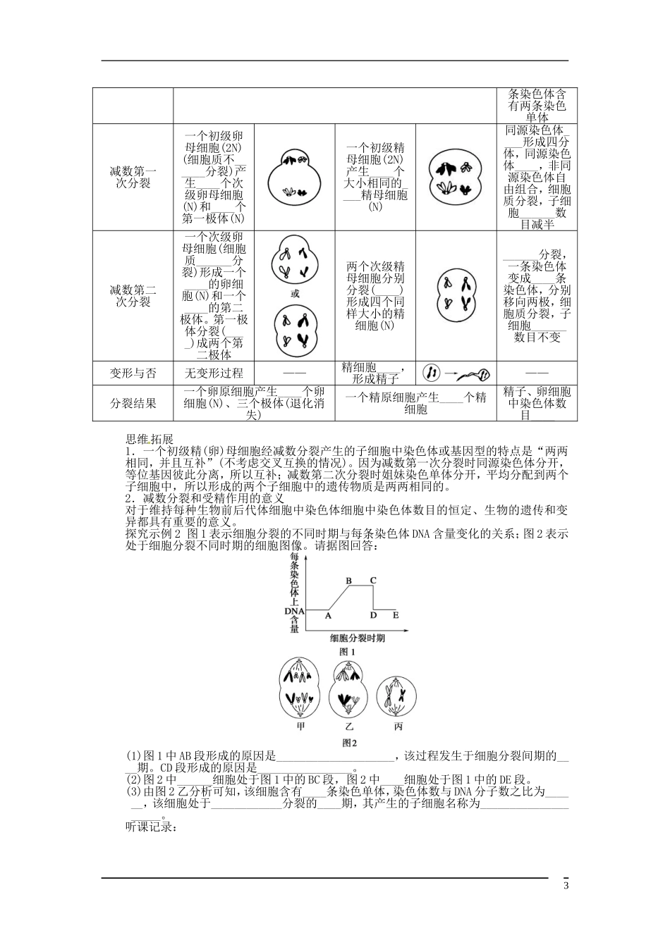 山东省泰安市岱岳区徂徕镇第一中学2013届高考生物一轮复习 减数分裂和受精作用学案 新人教版_第3页
