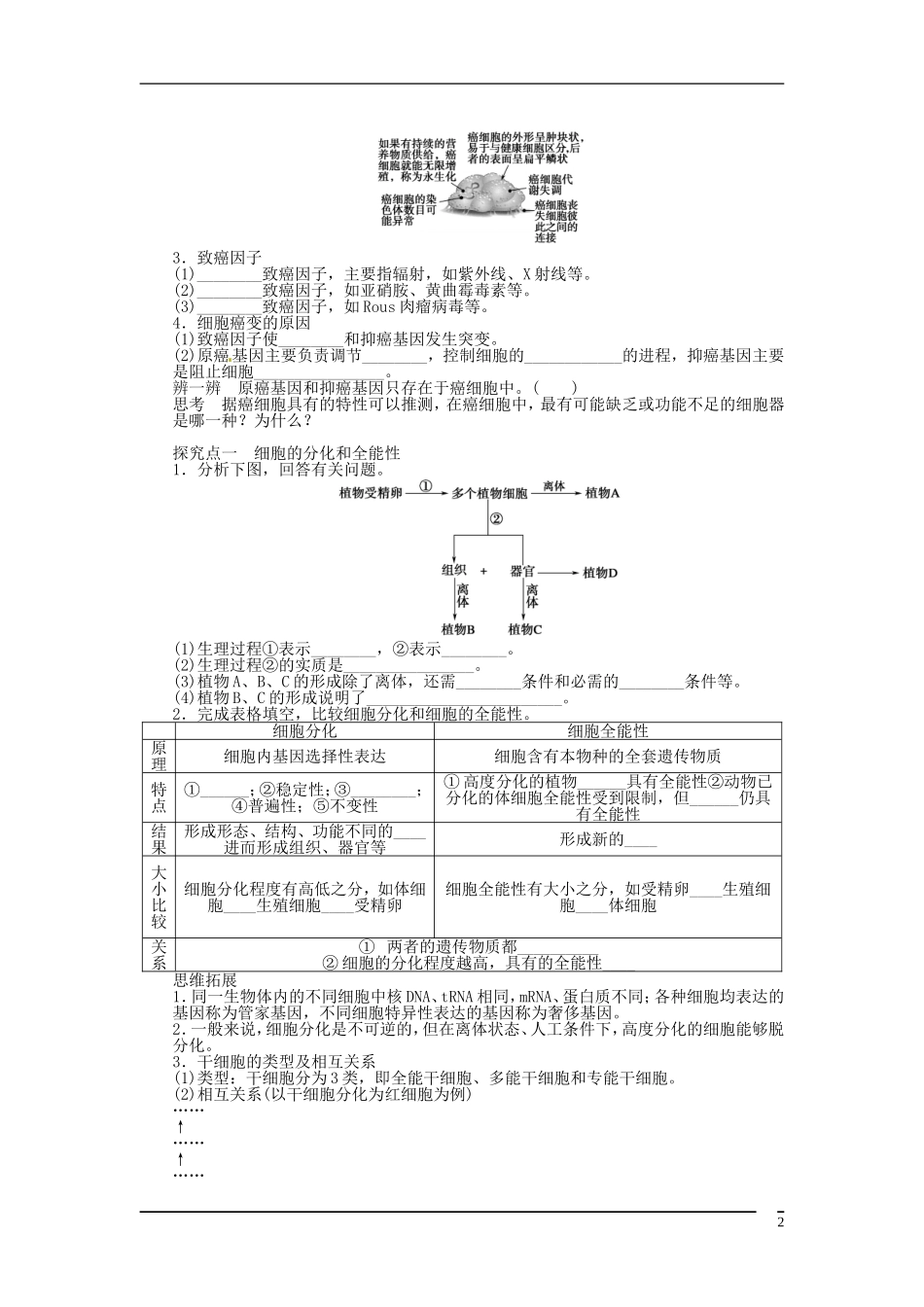山东省泰安市岱岳区徂徕镇第一中学2013届高考生物一轮复习 细胞的分化、衰老、凋亡和癌变学案 新人教版_第2页