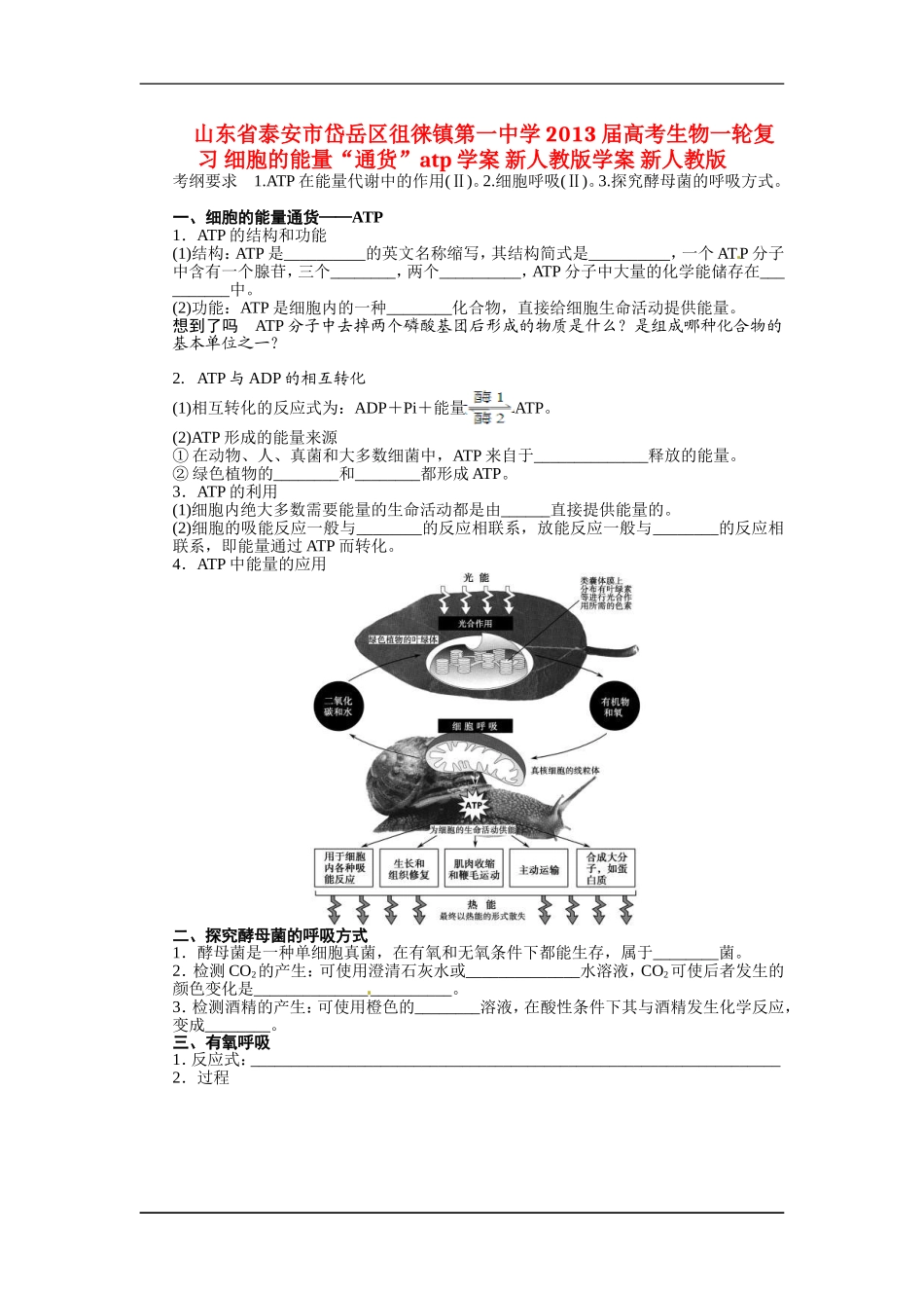 山东省泰安市岱岳区徂徕镇第一中学2013届高考生物一轮复习 细胞的能量“通货”atp学案 新人教版学案 新人教版_第1页
