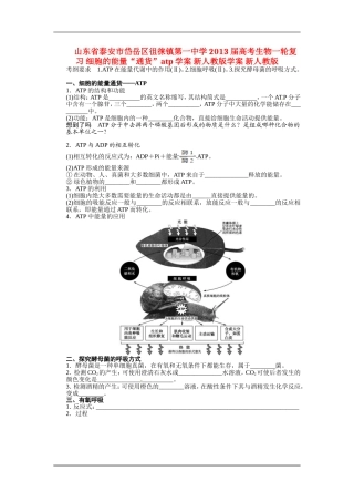 山东省泰安市岱岳区徂徕镇第一中学2013届高考生物一轮复习 细胞的能量“通货”atp学案 新人教版学案 新人教版