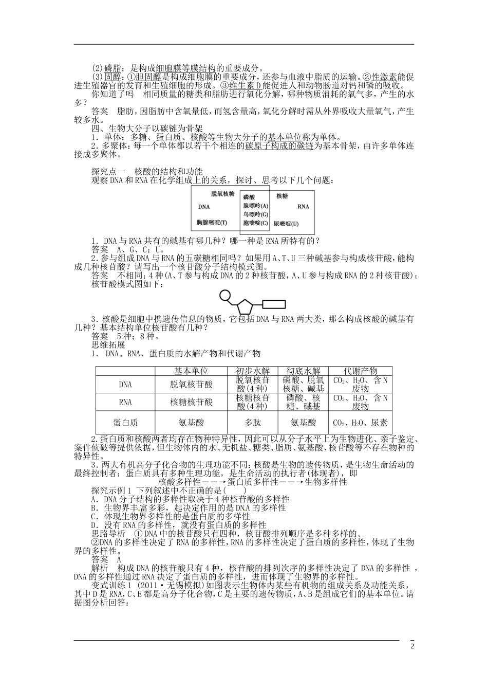山东省泰安市岱岳区徂徕镇第一中学2013届高考生物一轮复习 遗传信息的携带者 核酸学案 新人教版_第2页