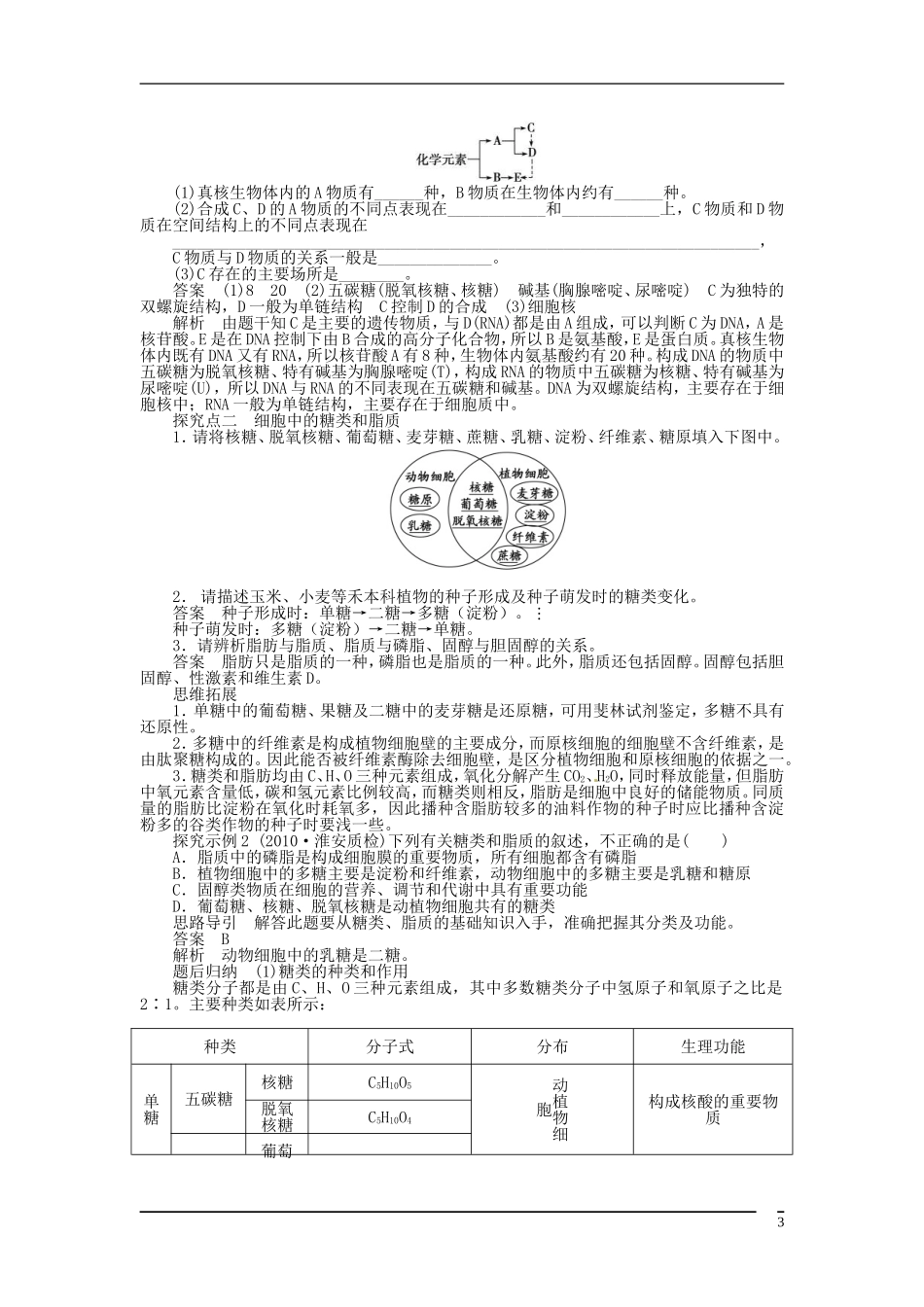 山东省泰安市岱岳区徂徕镇第一中学2013届高考生物一轮复习 遗传信息的携带者 核酸学案 新人教版_第3页