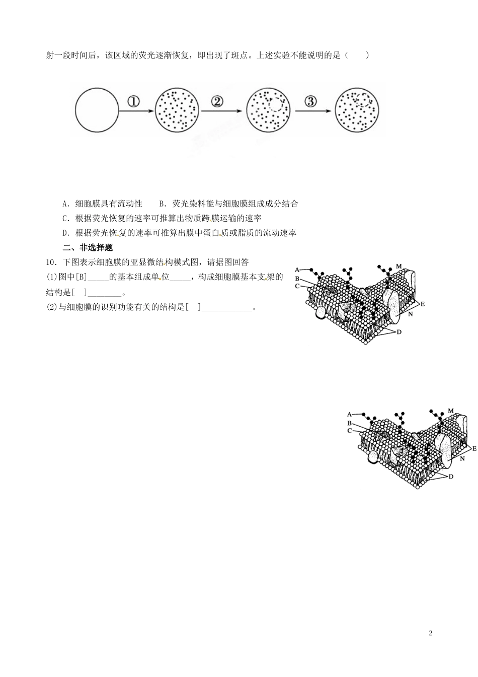 山东省新泰市汶城中学2014高中生物 第四章第二节生物膜的流动镶嵌模型学案 新人教版必修1_第2页