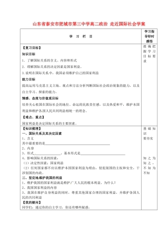山东省泰安市肥城市第三中学高二政治 走近国际社会学案