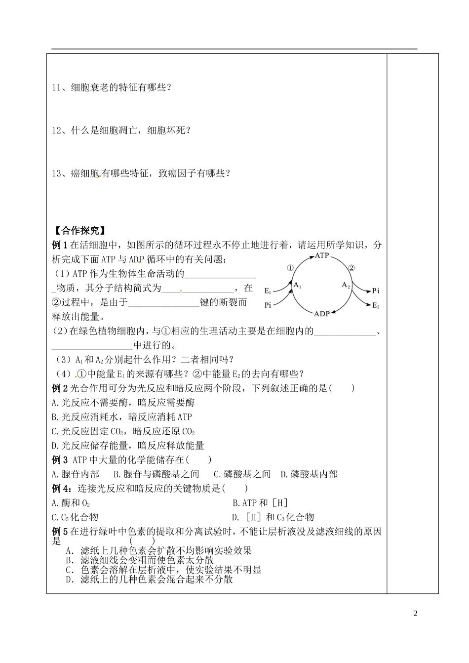 山东省泰安市肥城市第三中学高中生物 细胞的能量供应和利用 细胞的生命历程复习学案 新人教版选修3_第2页