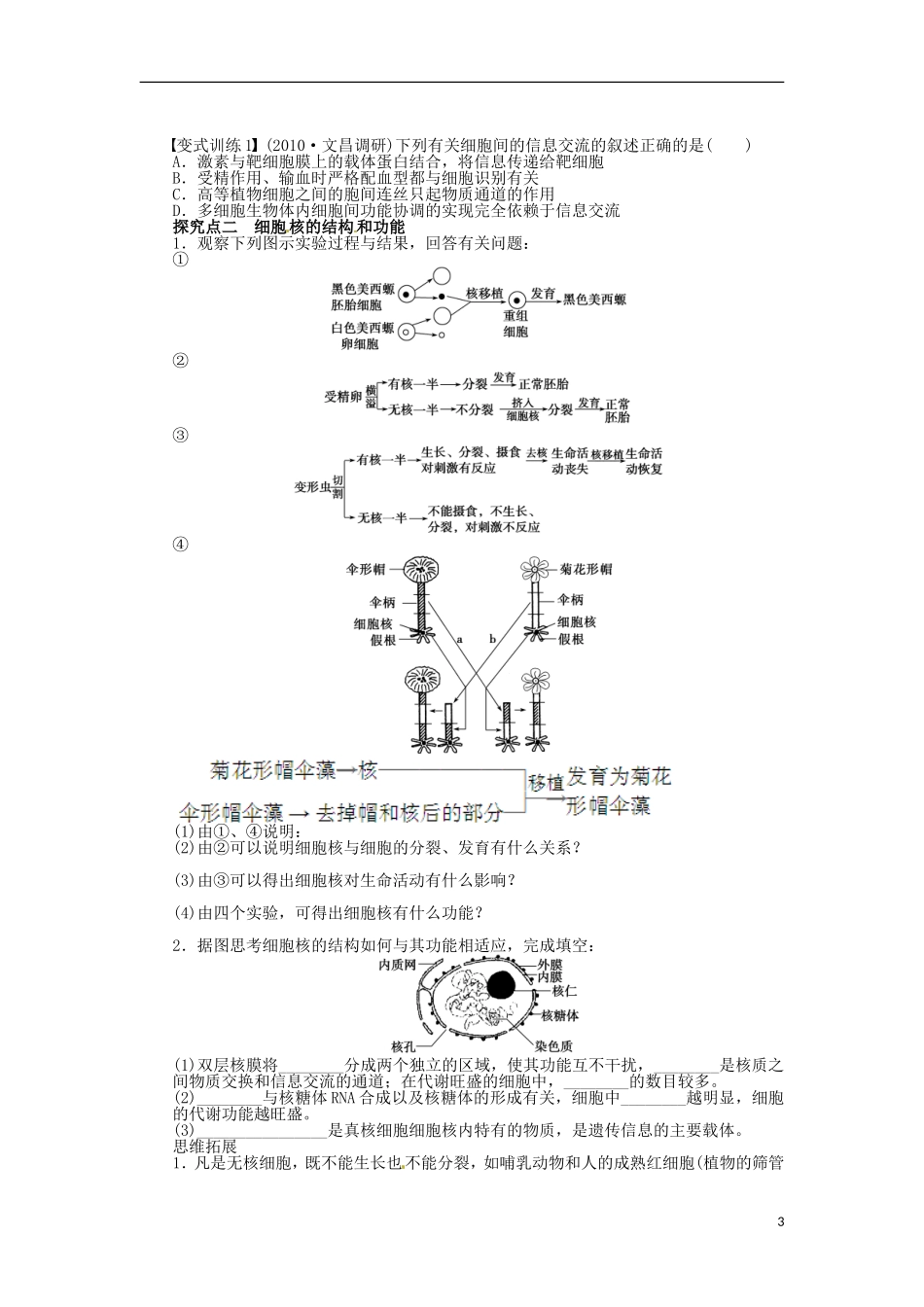 山东省枣庄四中2013届高三生物一轮复习 第二单元  学案5 细胞膜 系统的边界细胞核 系统的控制中心 新人教版_第3页