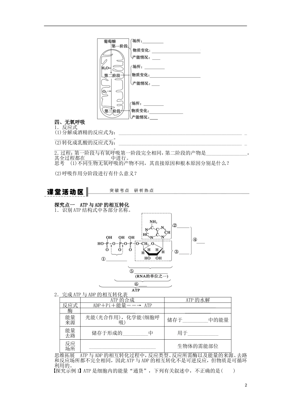 山东省枣庄四中2013届高三生物一轮复习 第三单元 11 细胞的能量学案 新人教版_第2页