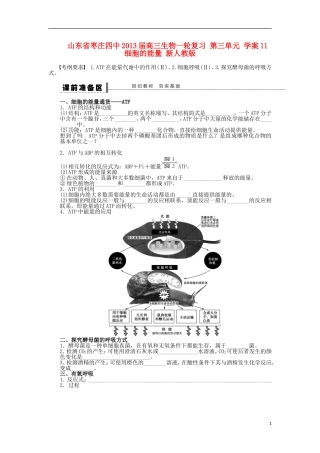 山东省枣庄四中2013届高三生物一轮复习 第三单元 11 细胞的能量学案 新人教版