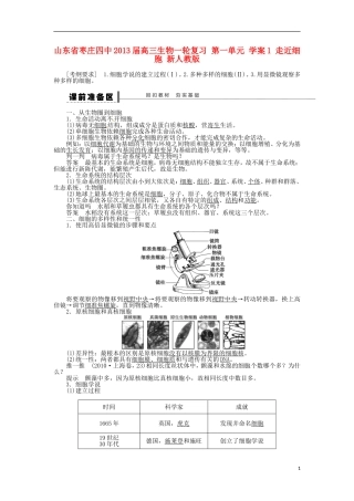 山东省枣庄四中2013届高三生物一轮复习 第一单元 学案1 走近细胞 新人教版