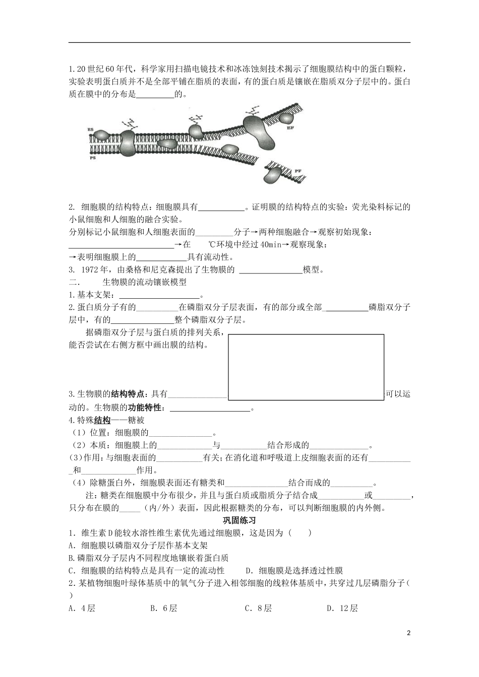山东省武城县第二中学2012-2013学年高中生物《4.2生物膜的流动镶嵌模型》学案 新人教版必修1_第2页