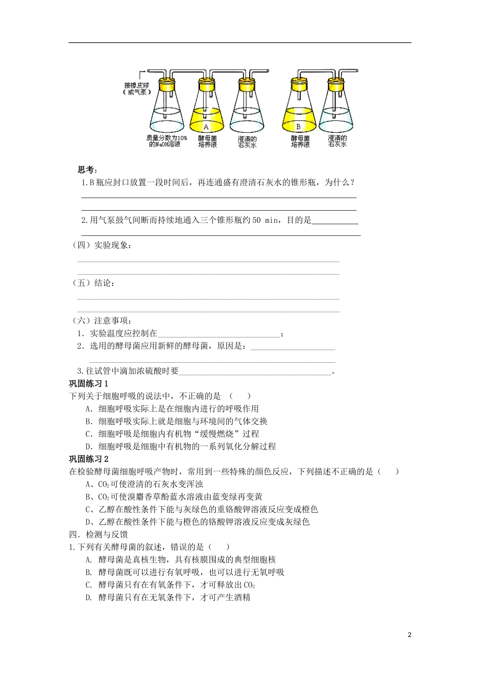 山东省武城县第二中学2012-2013学年高中生物《5.3 ATP的主要来源 细胞呼吸（一）》学案 新人教版必修1_第2页