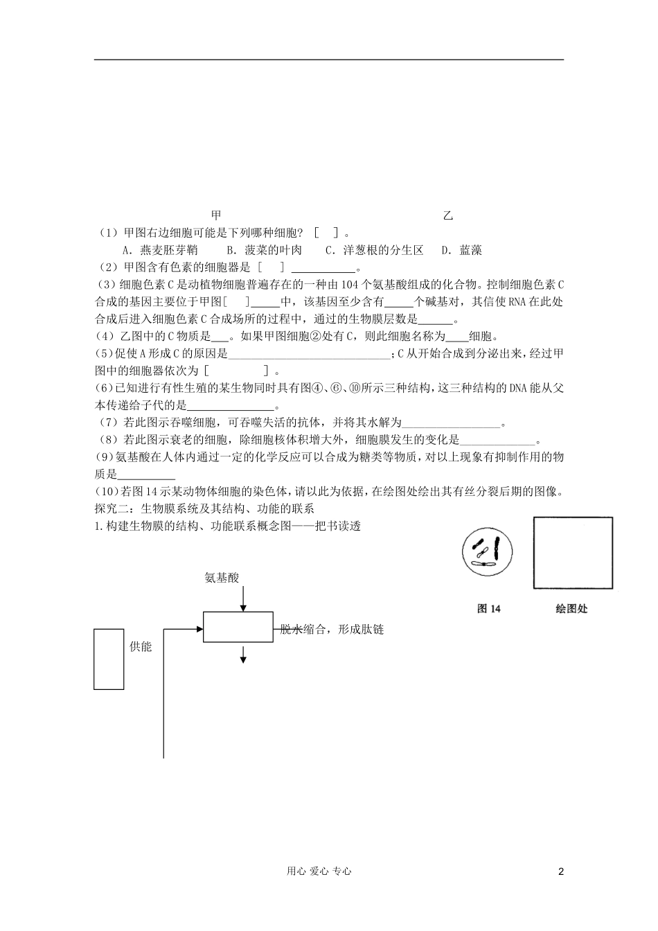 山东省胶南一中2012高三生物二轮复习 专题2 细胞的结构基础导学案_第2页