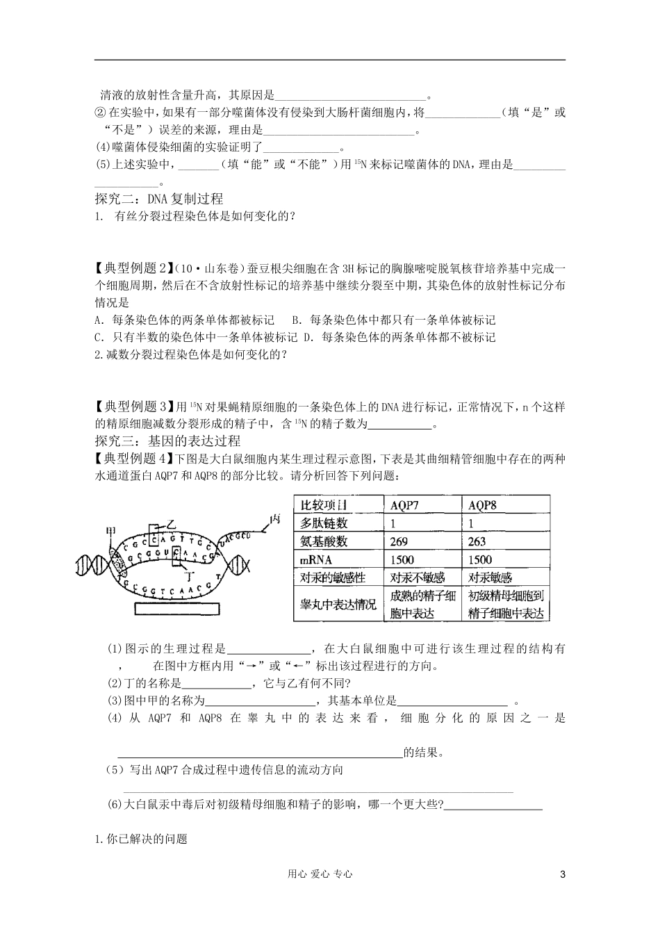 山东省胶南一中2012高三生物二轮复习 专题7 遗传物质基础导学案_第3页