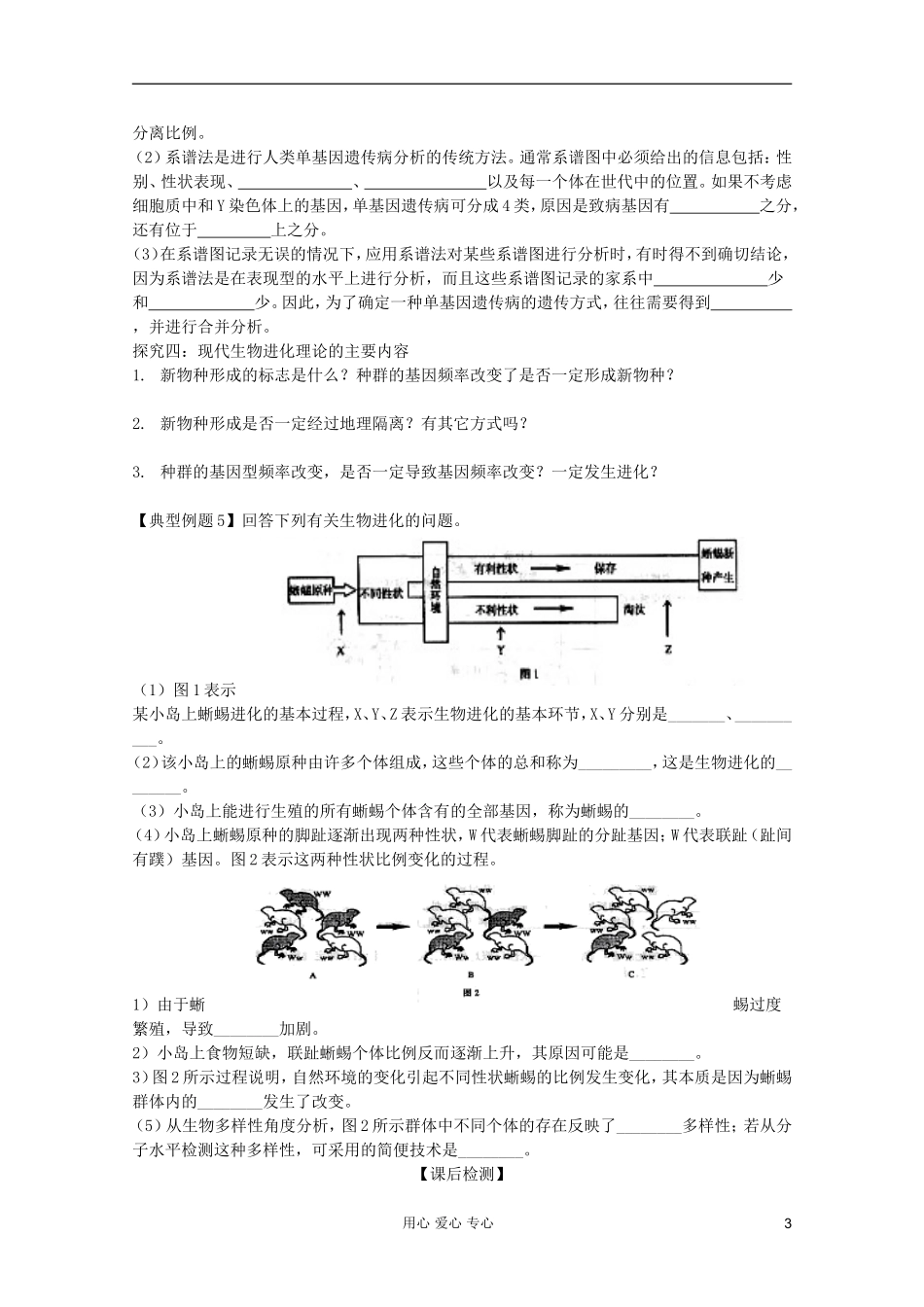 山东省胶南一中2012高三生物二轮复习 专题9 变异、育种和进化导学案_第3页