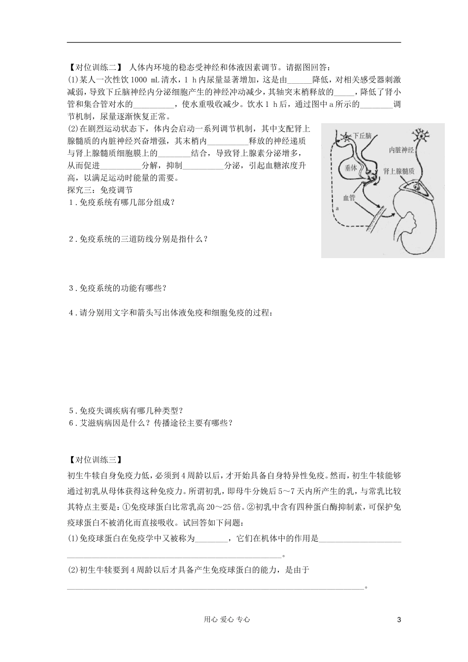 山东省胶南一中2012高三生物二轮复习 专题11 人和动物生命活动调节导学案_第3页