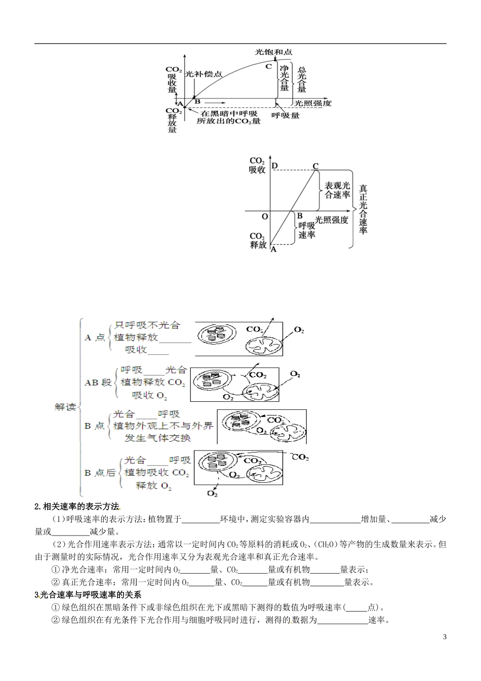 山西省朔州市李林中学2013届高考生物一轮复习 第3课时 光合作用和呼吸作用的题型分析导学案 新人教版必修1_第3页