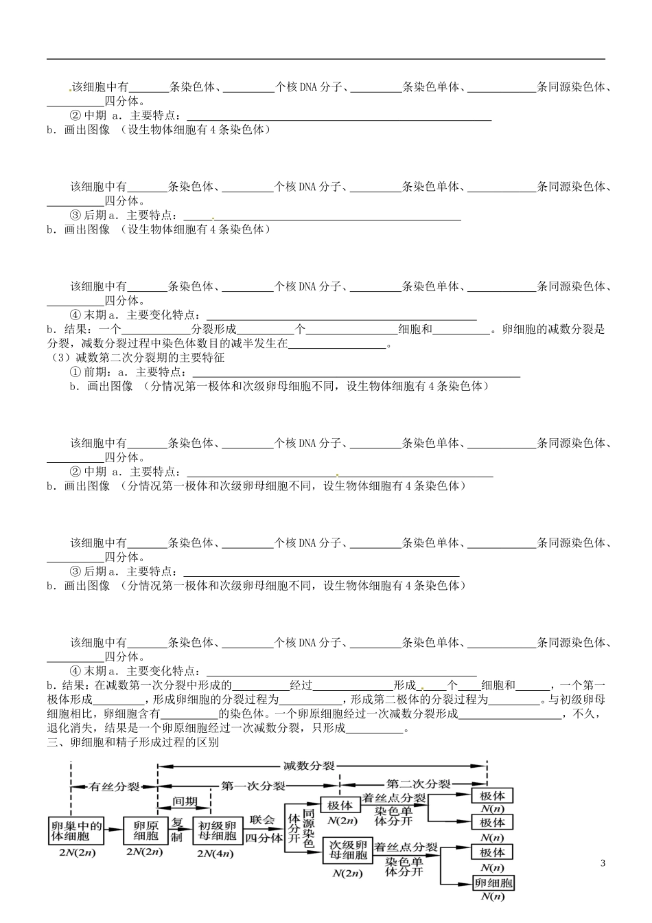 山西省朔州市李林中学2013届高考生物一轮复习 减数分裂和受精作用导学案1 新人教版必修1_第3页