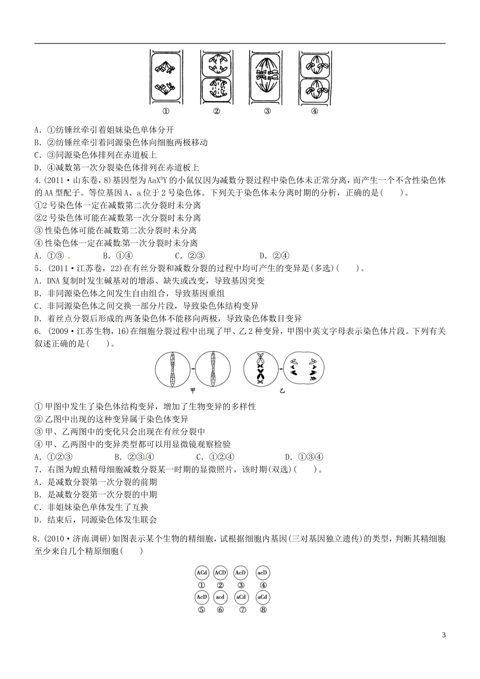 山西省朔州市李林中学2013届高考生物一轮复习 减数分裂和受精作用导学案3 新人教版必修1_第3页