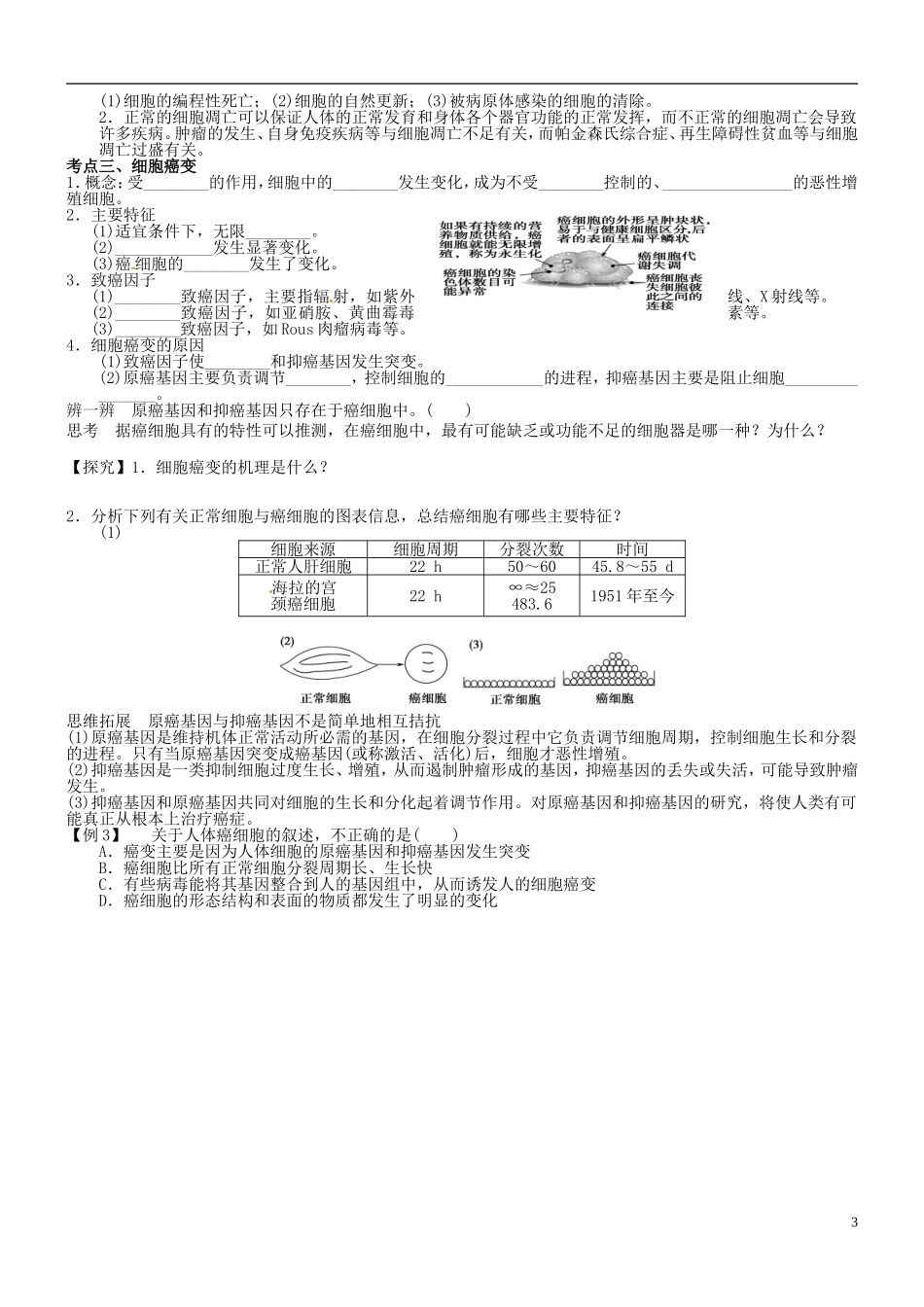 山西省朔州市李林中学2013届高考生物一轮复习 细胞分化衰老凋亡和癌变导学案 新人教版必修1_第3页