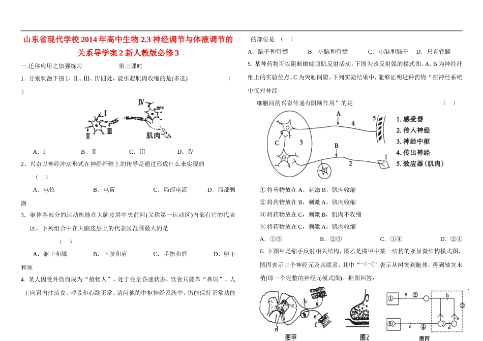 山东省现代学校2014年高中生物 2.3 神经调节与体液调节的关系导学案2 新人教版必修3_第1页