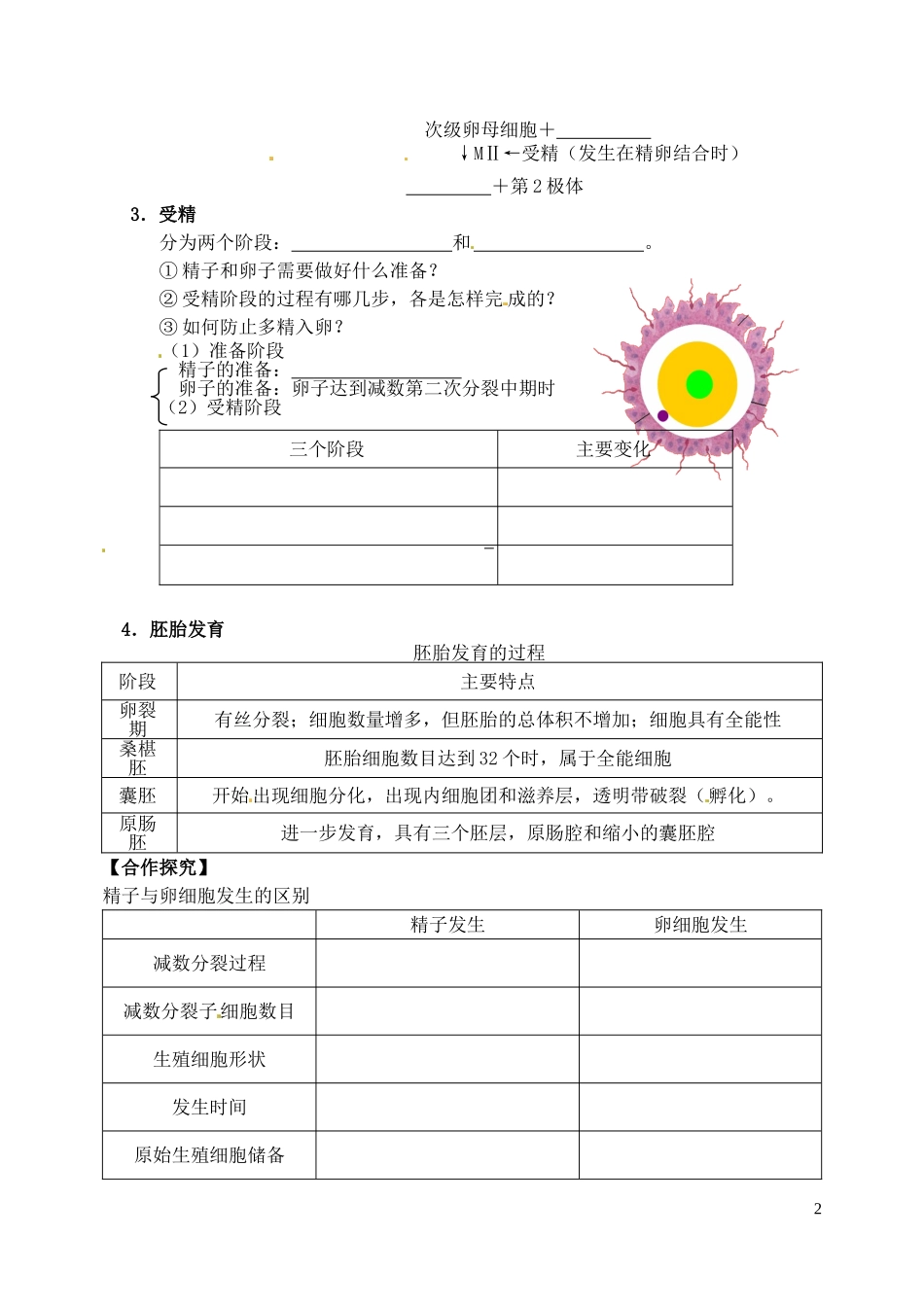 山西省临汾市翼城县清华园中学2014年高中生物 3.1 体内受精和早期胚胎发育导学案1 新人教版选修3_第2页