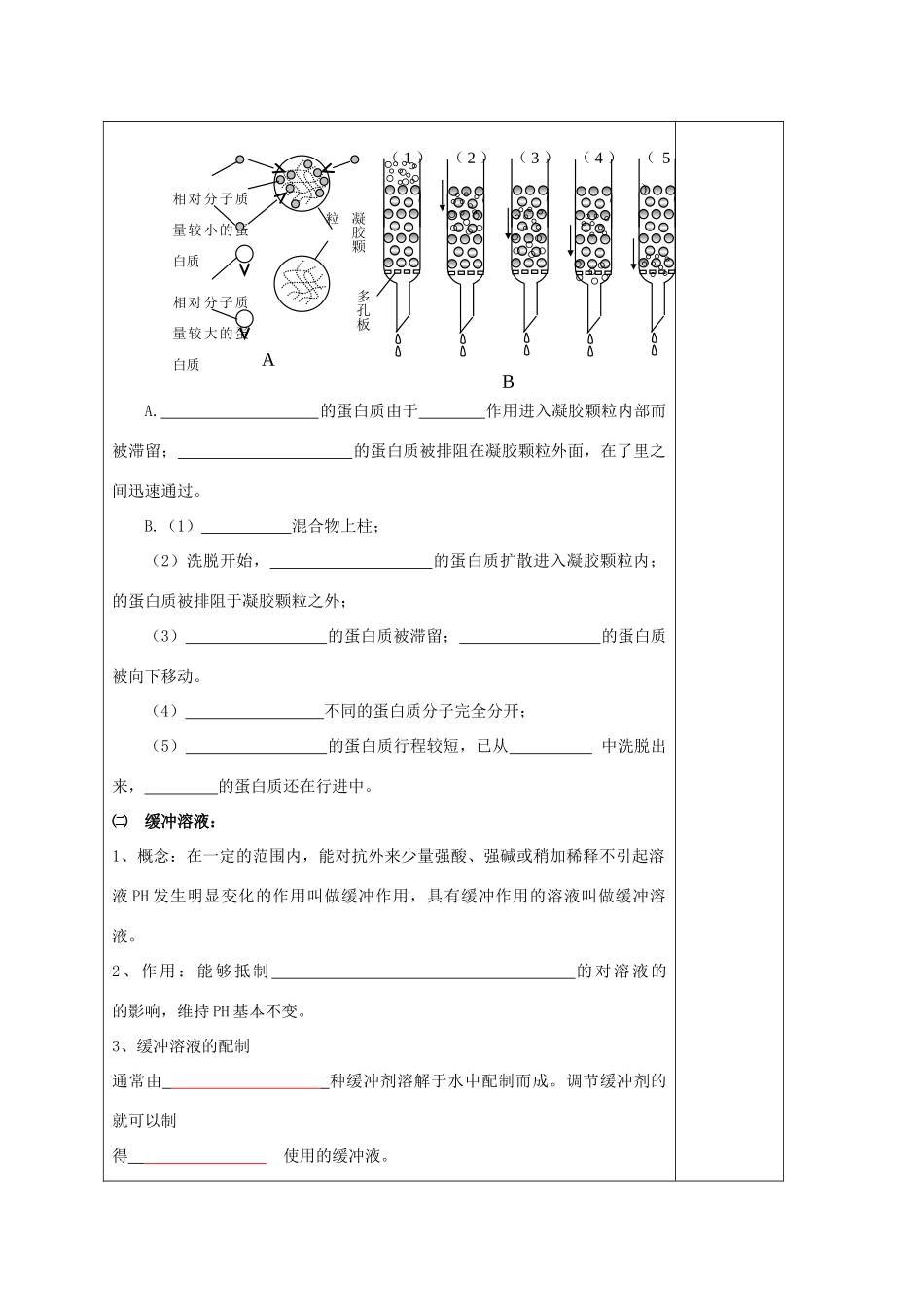 山西省太原市十六中2014年高三生物 5.3 血红蛋白的提取与分离教案 新人教版选修1_第2页