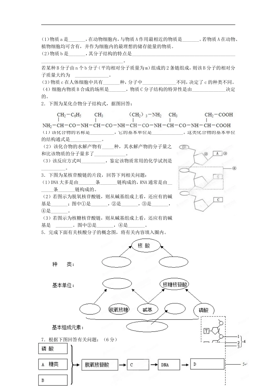 山西省长治第八中学2014-2015学年高一生物 第二章 细胞的分子组成学案 新人教版_第2页